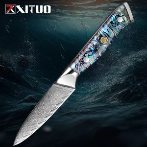 Xituo Caring Knife 3.5 -дюймовый Damascus VG10 Японский супер стальный кухонный нож Овощ, фруктовый нож бритва Острый приготовление пищи.