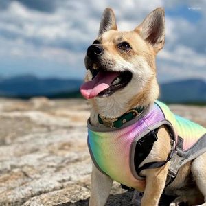 Abbigliamento per cani Summer Raffreddamento vestiti di abbigliamento morbido per cani Outfit a rilascio rapido per pet outdoor