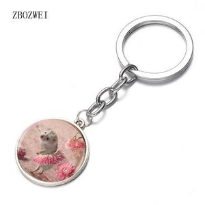 Keychains colhedores 2018new sriclepin keychag keyring story livro de histórias de cágina vidro beatrix potter presente cadeia y240510