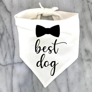Party Favor Dog of Honor Bandana Scarf Wedding Engagement Brud Shower Bride to be Bachelorette Hen Decoration Po Shoot Gift