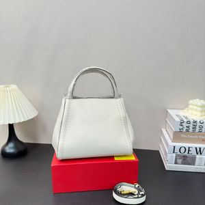 24SS Populära mode lyxdesigner Bag Womens Single Room Tassel Camera Bag Handväska Golden Classic Cross Body Bag Wallet 10A