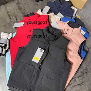 Mens Vest Designer Jacket Gilet Luxury Down Woman Vest Feather Filled Material Coat Graphite Gray Black White Blue Par Par Coat Red Label Size S M L XL XXL JWXP