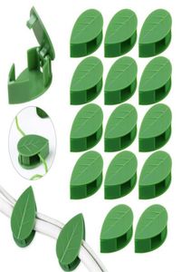 Planters POTS Plant Climbing Wall Fixture Clips Garden Vegetabiliska stöd Bindande klipp Invisibla vägg Vinrankor Selfadhesive XB19653860