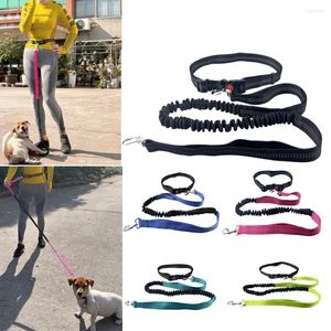Hundhalsar Handfria reflekterande löpare med justerbart midjebältel Elastiska bungees krage för hundar som går vandring cykling