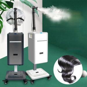 Salon Hair Care Ultrasonic Micro Mist Speed Up Color Dye And Treatment Nano Hair Steamer