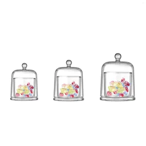 Bottiglie Dome coche di vetro per decorazioni per la casa Visualizza in vaso a campana trasparente piccolo