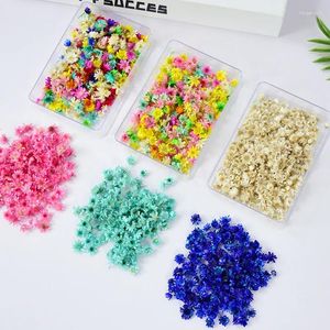 Dekorativa blommor 200/280st Small Flower Head Torked Mini Star Bouquet Diy Epoxy Harts Garland Crystal Drop Lime Filler Art Craft Material