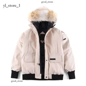 Canadas Goose Jacket Brand Jackets Мужское пальто Зимнее пальто, дамы преодолевают палочку для ветров жены 2024 Модное теплое пальто Антарктическое холодное костюм Гусика 492
