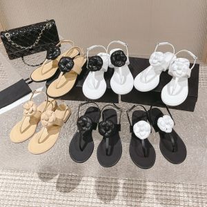 The Best Version of Brand Slippers Little Fragrant Sheepskin Sandals for Women 2024 Low Heel Flat Bottom Pintoed Womens Shoes