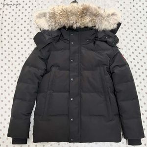 Canadá Down Jacket Real Coyote Fur Designer Homme Puffer Windbreaker Jassen Outerwear