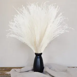 Dekorativa blommor 20st Naturned Torked Pampas Grass Decor 17Inch Reed Plants Fluffy For Wedding Bouquets Home Boho Party Decorations