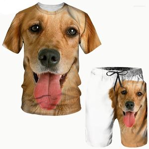 Мужские спортивные костюмы лето смешные собачьи 3D-печатные футболки наборы негабаритные футболки с короткими рубашками