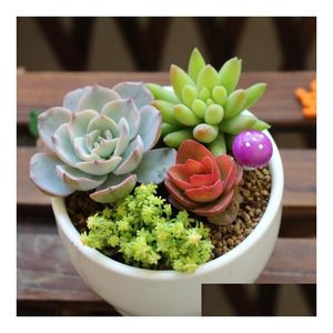 Garden Decorations 7 Colors 2Cm 3Cm Fairy Foam Mushroom Colorf Miniature Artificial Plants Gnome Cute Mushroon Drop Delivery Home Pati Dhfit