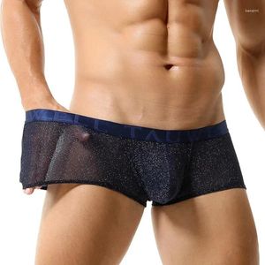 Underpants Shiny Mesh Boxer Briefs Men Sexy See Through Reflective Underwear Bulge Pouch Night Club Gay Man Attractive Panties