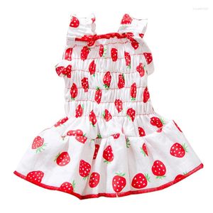 Vestido de vestido de cachorro saia de colete de gato princesa maltesa pomerânia poodle bichon pet roupas de cachorro fantasia doce roupas pequenas