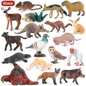 Andra leksaker Oenux New Wildlife Forest Orangutan Pigeon Hedgehog Aardvark Capybara Action Diagram Modell PVC Series Childrens Toys S245176320