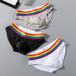 Underbyxor sport underkläder färgglada regnbågens mäns trosor med anti-septiska egenskaper u konvex design för bekväma sportmän