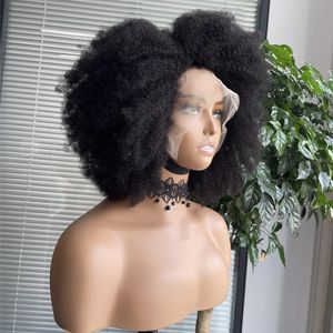 13x4/13x6 Perucas de cabelo humano dianteiro de renda transparente para mulheres pré -arrancadas Remy Braziliana renda reta Frontal Wig