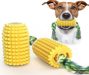 Pet Toy Mais COB mit Seilhund nagte Molarenzahn reinigen Zahnbürste Interaktive Haustierprodukte1145507