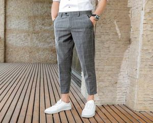 Märke Men039S kostymbyxor 2020 Spring and Summer Plaid Dress Pants Korean Slim Business Casual Formal Trousers Pantalon Homme 281308489