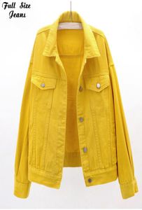 Mulheres039s outono plus size amarelo jeans de bombardeiro curto 5xl púrpura casual tamanhos grande de jeans curto corea chi jack7110067