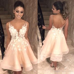 Sexy Backless Champagne Party Dresses V Sheer Neck Straps 3D Floral Applique Cocktail Eevning Dress Homecoming Formal Wear Custom Made 2511