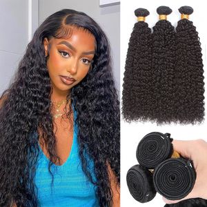 Brazilian Indian Virgin Hair Body Wave Straight Deep water Wave Curly Human hair extension weft braid 3 bundles natural black