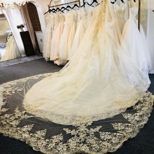 Sparkly Sequined Champagne Wedding Veils Appliqued Edge 3M Long Cathedral Length Lace Bridal Veil For Women Hair Accessories 232S