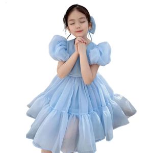 Girls 'Tulle Flower Princess Wedding Long Sleeve Dress for Toddler och Baby Girl L2405