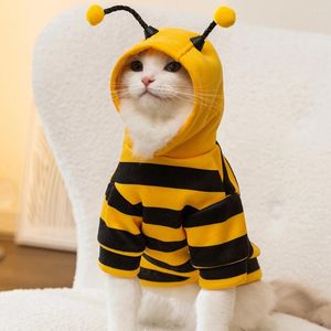 Костюмы для кошек милый домашний домашний костюм пчелиной костюм