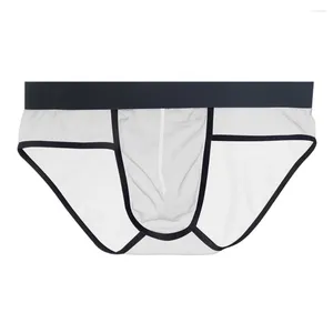 Underpants Summer Mens Sexy Mesh Middle Rise Transparent Underwear Pouch Briefs Panties Large Bag Shorts Erotic Men Boxers