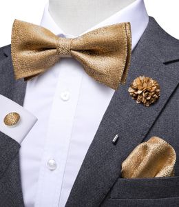 HI-TIE Fashion Luxury Gold Business Wedding Bowties para homens Broooch Pocket Square Bufflinks Conjunto de seda gravata de gravata borboleta para casamento 240517