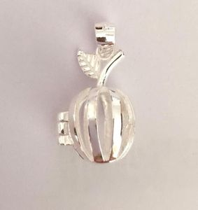 Solid 925 Silver Apple Locket Charm pode abrir o pingente de prata esterlina de gaiola, montando jóias de colar de pulseira DIY5546025