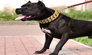 Mocny metalowy łańcuch psów kołnierzy ze stali nierdzewnej PET Dławik dla dużych psów Pitbull Bulldog Silver Gold Show kołnierz x01380062