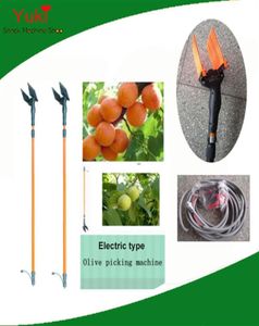 Avisione elettrica dell'oliva per la raccolta della raccolta di olive da 12 V date della mietitrice di frutta in noce piccoli frutti da frutto raccoglitore 285t1067581