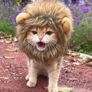Dog Apparel Funny Pet Hat Lion Mane Cat Cosplay Dress Up Puppy Wig Costume Party Decoration Halloween Supplies Ears Accessories