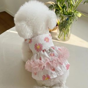 Odzież dla psa Chihuahua Dress Girl Straszka Summer Pet ubrania