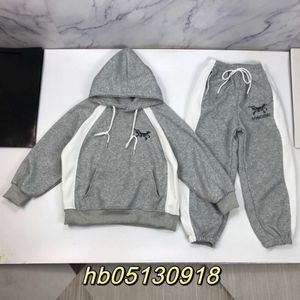 Women's T-shirt Spring Autumn Letter Hooded Panel Set Cotton Fabric Pattern Embroidery Casual Handsome Boys