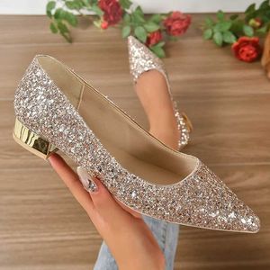 Dress Shoes Gold Low Heels Pumps Women 2023 Spring Shiny Sequins Pointed Toe Party Woman Plus Size Simple Thick Heeled Bride H240517