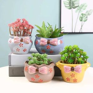 Planters POTS Söt Bow Flower Pot Succulent Pot Ceramic Planter Home Decor Desktop Ornament Bonsai Plant Pot Garden Decoration J240515