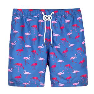 Lu Men Shorts Summer Sport Workout ize boar short soli水泳トランク昇華e女性水泳