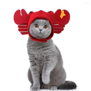 Dog Apparel Headdress Cat Hat Cute Soft Ins Wind Halloween Red Crab Polyester Pet