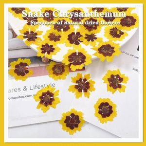 装飾的な花2.5-4cm/24pcs自然chrysanthemum乾燥花エンボス加工