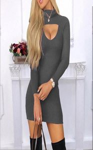 New Women039s Dress Popular Slim Fit Solid Color High Neck Long Sleeve Dress Party Clothing2739622