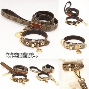 Old Style Classic Collar in pelle trazione set da passeggio per cani da camminata FORNITÀ PET9778513