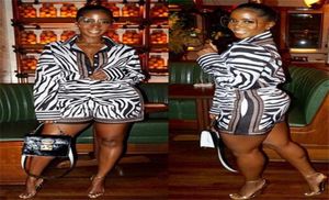 Womens Two Piece Pants Outfits Print Zebra Stripe Long Sleeve Button Shirts Pocket Shorts 2 Piece Set Women Casual Clothes S2XL8634312