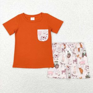 Roupas Conjuntos de roupas por atacado bebê menino verão de mangas curtas conjunto de algodão infantil camiseta de pato bordada bebê e criança shorts lisos lisos para crianças q240517