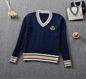British Japanese School Uniform Embroidery Crown Vneck Boys and Girls Winter Longsleeved Student College Uniforms Sweater9656839