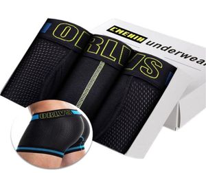 3pcs de roupa íntima sexy cueca masculina shorts de malha de tamanho mais tamanho Men039s Boxers Boxers calcinha
