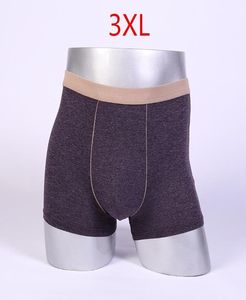 Bamboo Mens Underwear Boxers High Quality Men039s Underware Shorts Bamboo Fiber Man Underpants 3XL4XL5XL6XL7XL3048080